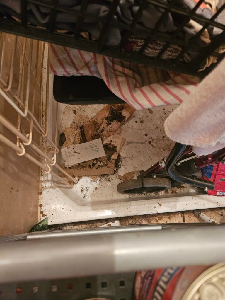 Avis sur le Nettoyage de Logements Squatés à Saint-Jacques-de-la-Lande