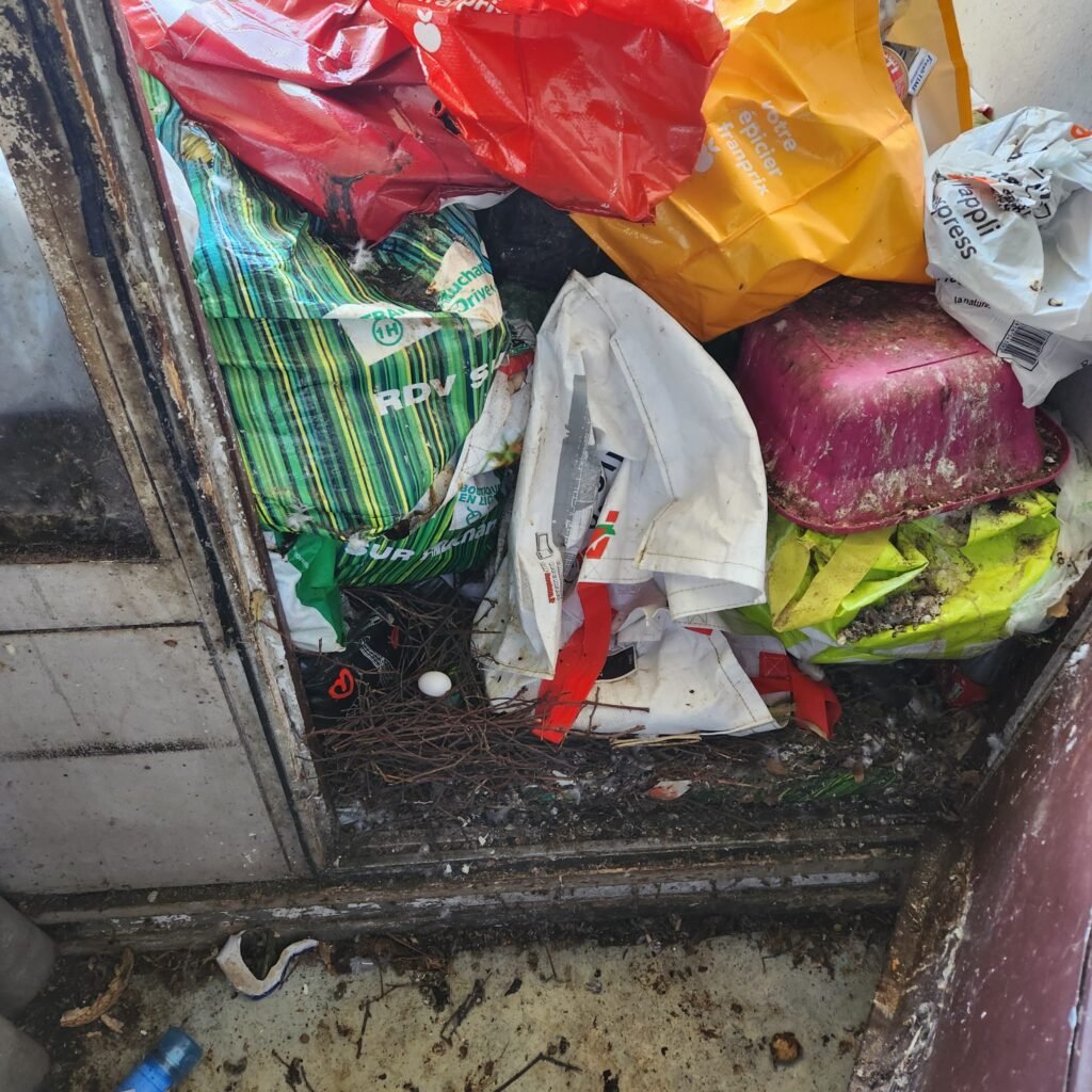 Débarras de cave à Fougères Intervention rapide et efficace pour votre espace