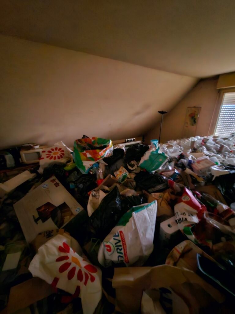 Découverte des Meilleurs Avis sur le Nettoyage Extrême à Pacé