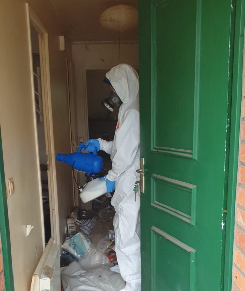 Découvrez les Meilleurs Tarifs pour un Nettoyage Extrême à Lorient