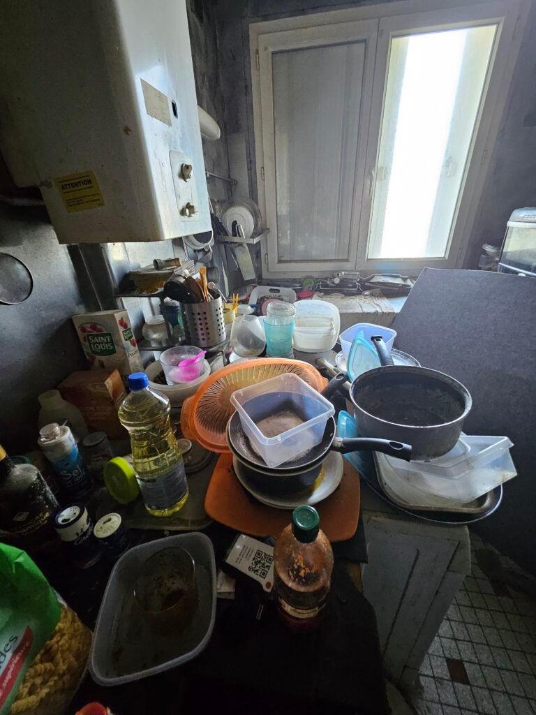 Guide ultime sur le syndrome de Diogène professionnel à Saint-Cast-le-Guildo