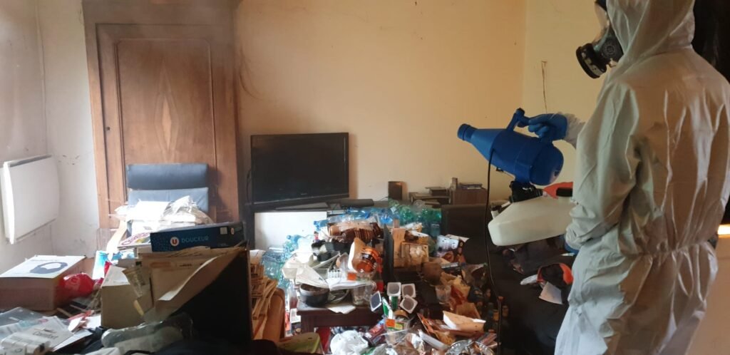 Intervention efficace pour le syndrome de Diogène à Ergué-Gabéric solutions expertes