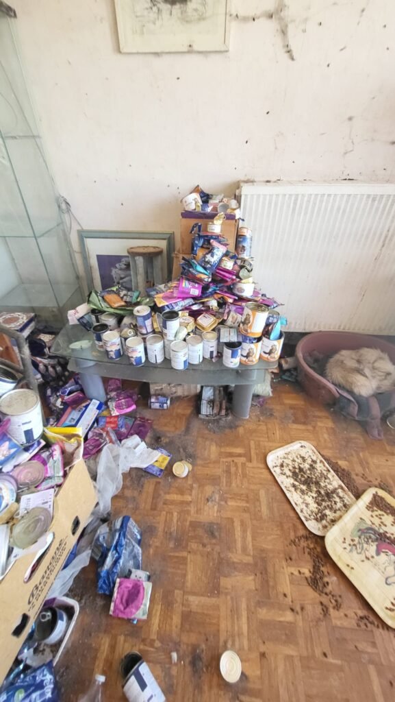 Meilleurs avis pour la désinfection de maison à Saint-Pol-de-Léon