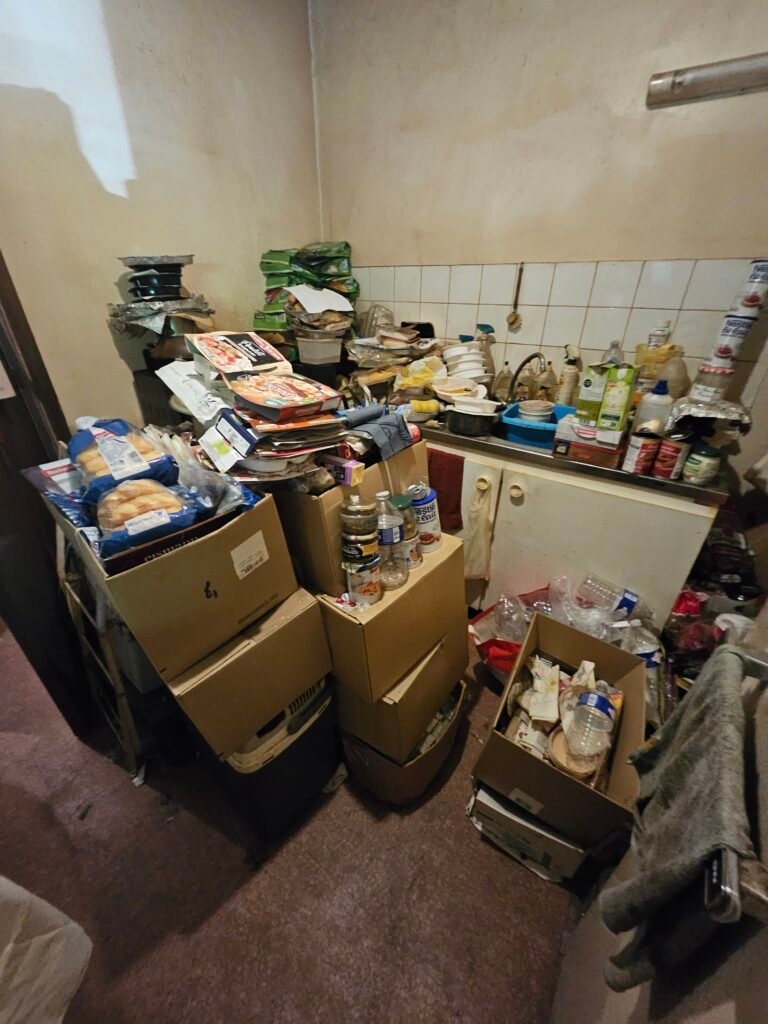 Nettoyage Logement Squaté Carhaix-Plouguer Service Rapide et Efficace