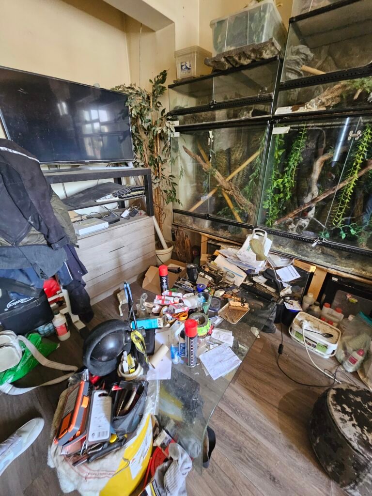 Obtenez Votre Devis Gratuit pour Nettoyage Extrême à Saint-Ségal Aujourd’hui