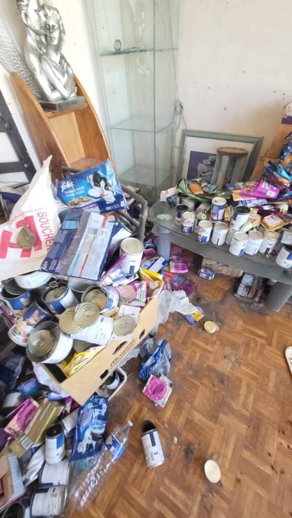 Urgence Syllogomanie Saint-Gildas-de-Rhuys Solutions Immédiates et Aide Professionnelle